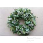 ＜Order＞Botanical Christmas Juniper 40 