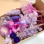 プリザーブドフラワー ドライフラワー 花材セット