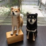 【受注制作M】羊毛 柴犬　ペット作ります オーダーメイド 羊毛フエルト 愛犬 【受注制作】