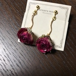[送料無料] 薔薇ドライフラワーレジンイヤリング