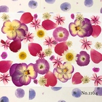 ♡new♡  ♡可愛い押し花セット♡ ♡使いやすい少量の押し花セット♡