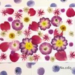 ♡new♡  ♡可愛い押し花セット♡ ♡使いやすい少量の押し花セット♡