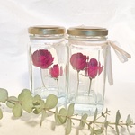 Rose…Blue lagoon   2種類