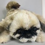 大きめのシーズー犬のバッグ（クラッチバッグ）