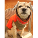 犬服　クシュクシュ タートルネック の  タンクトップ　厚手パイルボア オレンジ×オレンジボーダー