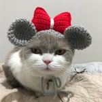 [harimanmo様専用] 🎀ネズミ　