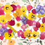 ♡new♡  ♡可愛い押し花セット♡ ♡使いやすい少量の押し花セット♡
