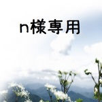 n様専用