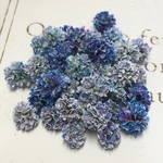かすみ草　ドライフラワー     fairly gradation misty blue  mix