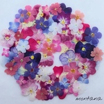 444.押し花アソート〜カラフル系 小花 mix 押し花素材