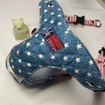 ルークママ♪専用　ハーネス　リードセット