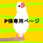 【 P様専用 】追加注文