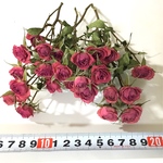 ピンク薔薇 ドライフラワー    ミニミニ