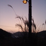 昭和レトロ風ランプ付き電柱