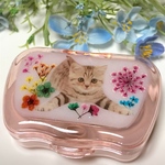 猫ちゃん の コンタクト収納ケース&小物入れ