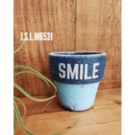 ꫛꫀꪝ✧‧˚ リメイク鉢(SMILE)