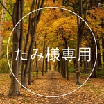 たみ様専用