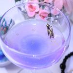 にゃんこちゃん星空の旅★ピンク×ブルー★アクセサリートレー