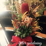 ホーリーレッド  フェザー ボタニカルbouquet スワッグ