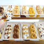 ちいさなどーにゃつ
