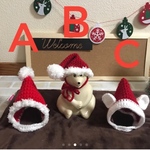 帽子　犬用クリスマス　コスプレ