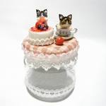 にゃんこのしっぽ〇にゃんこのスイーツデコボトル○ベリーのケーキ○ラグドール○猫2 
