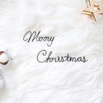 Merry Christmas ♡ワイヤーアート