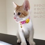 ニコちゃん☺︎首輪＊Ｓ-Ｍサイズ(17~25cmの間で調整が可能です)※サイズ変更可能