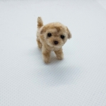 モールアート　仔犬　モールベア　ミニチュア　ドール　ブライス