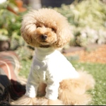 もこもこドットの長袖ハイネックT