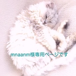 mnaanm様の専用ページになります