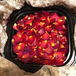 ミニバラ 花びら2g（赤色）ドライフラワー★花弁ミニローズ★押し花素材にも
