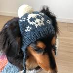  【19AW#17】小さめ　犬用ニット帽