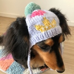 【19AW#19】小さめ　犬用ニット帽