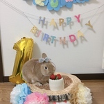 @12chansea17 さま専用✩⃛