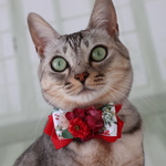 インスタ映えばっちりの真っ赤なクリスマス首輪　お正月もオッケー　猫さん犬猫