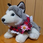 ＱTシュシュ(タータンチェック赤)