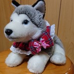ＱTシュシュ(タータンチェック赤)