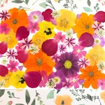 ♡new♡  ♡可愛い押し花セット♡ ♡使いやすい少量の押し花セット♡