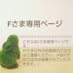 Fさま専用ページです。