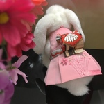 うさぎの桜貝ハーネス
