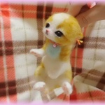 おねがいにゃんこＮｏ．83