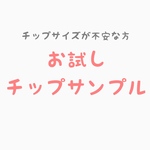 サイズお試しチップ10枚