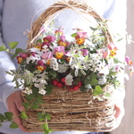 おさんぽバスケットに花束植えB