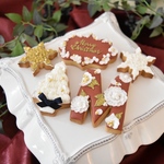 新作☆クリスマスプレゼントにオススメ☆人気のアイシングクッキーセット