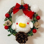 ☆インコと一緒にXmas☆mini(アルビノ)