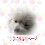 専用ページ