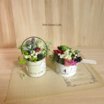 Petit Green Arrange 365