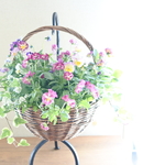 ビオラ『ときめきスミレ』とかわいいお花の寄せ植えバスケット*