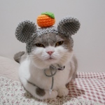 🍊ネズミ